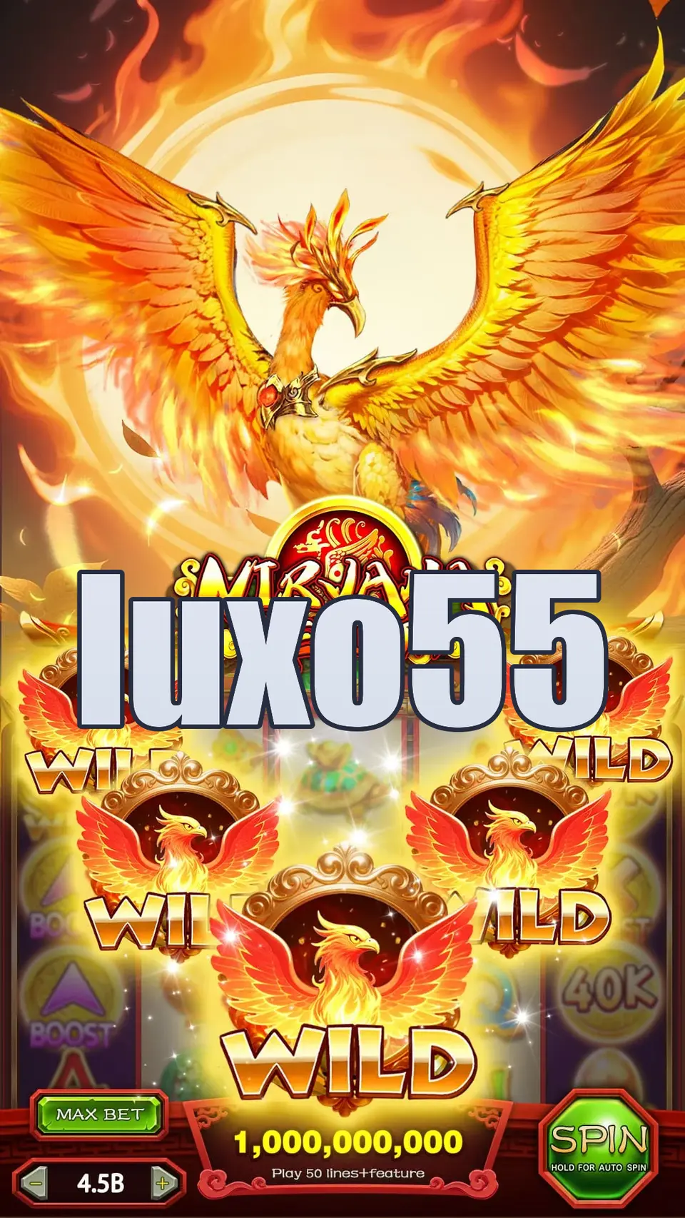 luxo55 APK